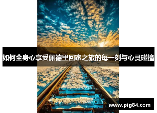 如何全身心享受佩德里回家之旅的每一刻与心灵碰撞